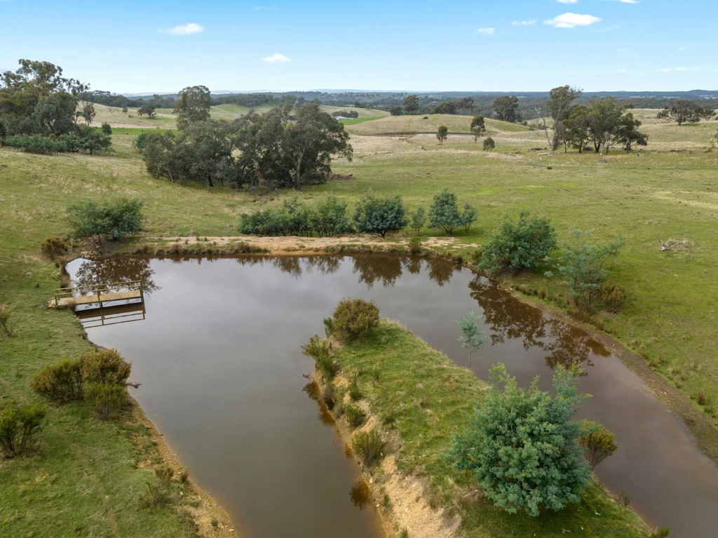 Sandon  Surrounded By Natural Beauty ? Yandoit Hills