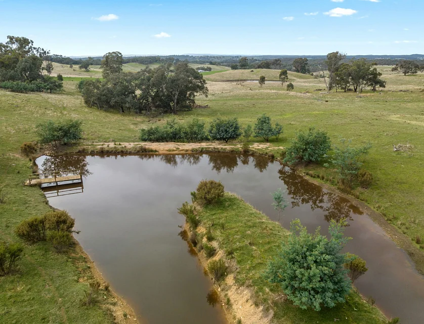 595 Providence Gully Road, Sandon, Bendigo, 0 Bedrooms, 0 Bathrooms, Lifestyle Property