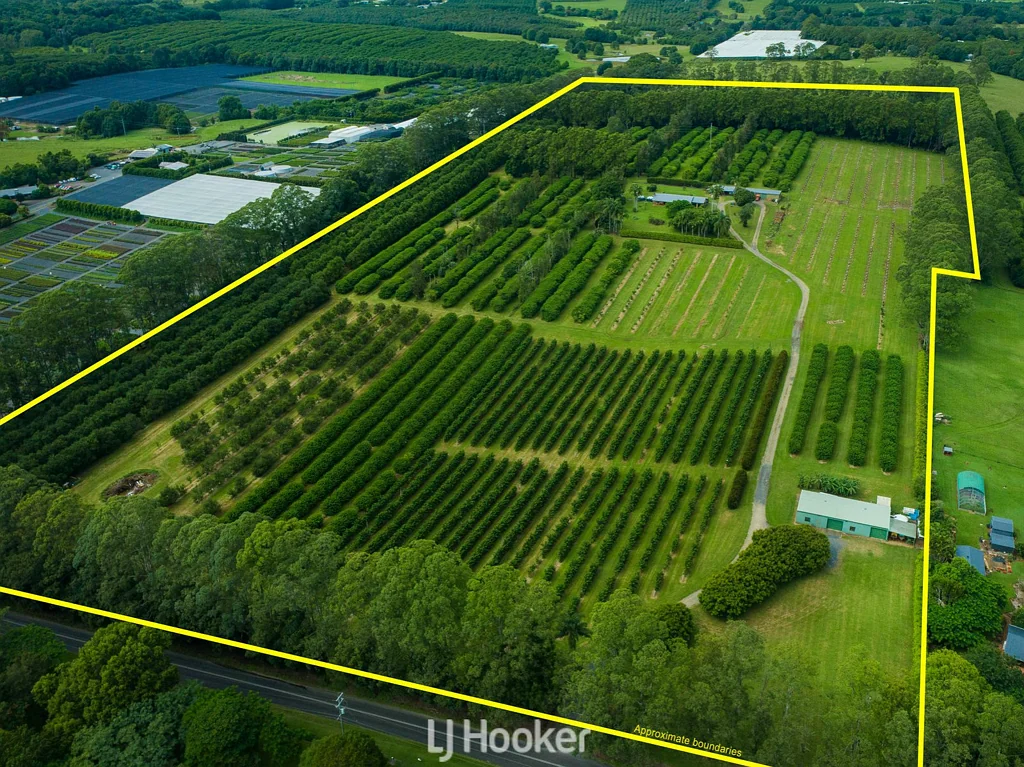 Rous Lifestyle Plus Income - Macadamia & Custard Apple Farm