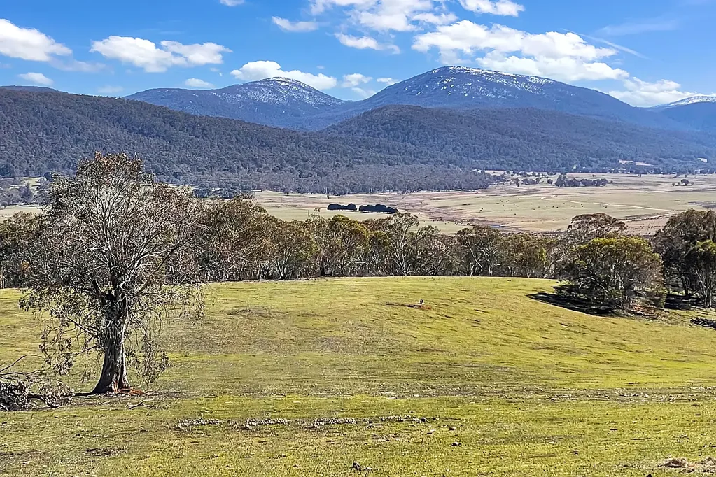 Yaouk THE LOOKOUT - YAOUK NSW