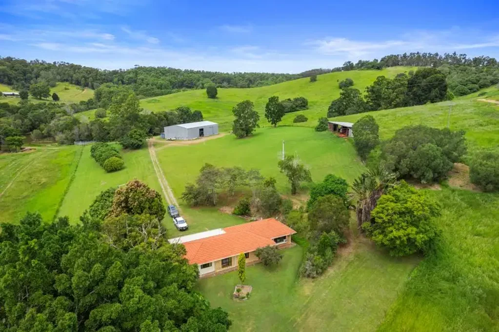 Wilsons Pocket NOT JUST A SHED-A DREAM UNFOLDS!