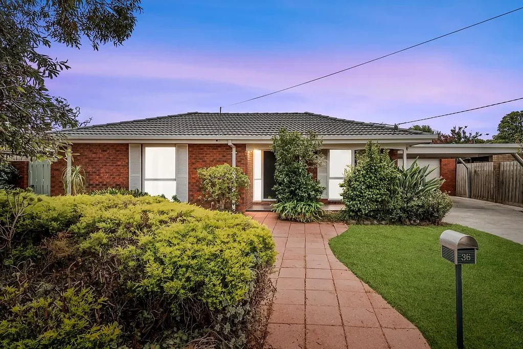36 Hereford Drive, Belmont, VIC 3216