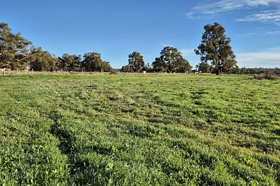 LOT 152 Warru Road, Ginginup, WA 6503, 0 Schlafzimmer, 0 Badezimmer, Section