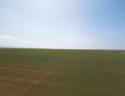 'Daly's' Collins Road, Willowie, Barossa - Yorke - Mid North, 0房, 0浴, Lifestyle Property
