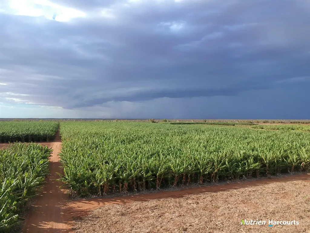 North Plantations 'Otway Plantation', 7.49ha (18.50 acres)