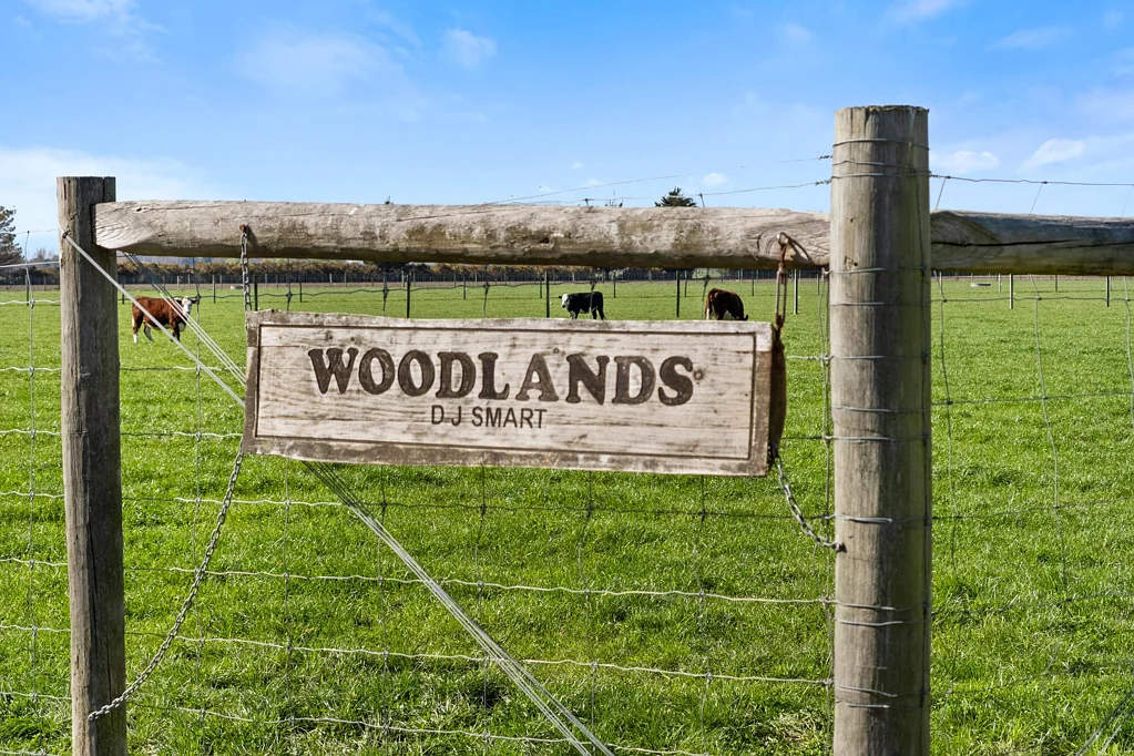 Ashburton "Woodlands" – Quality soils & farming versatility
