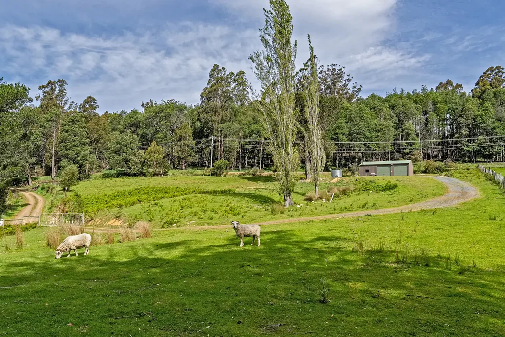 Oyster Cove NORTHERLY ASPECT LAND