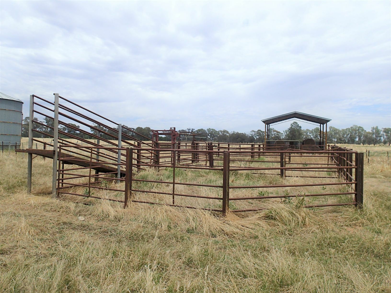 ELLERSLIE 136 BULLECOURT RD, COROWA NSW 2646, 0 Bedrooms, 0 Bathrooms, Lifestyle Property