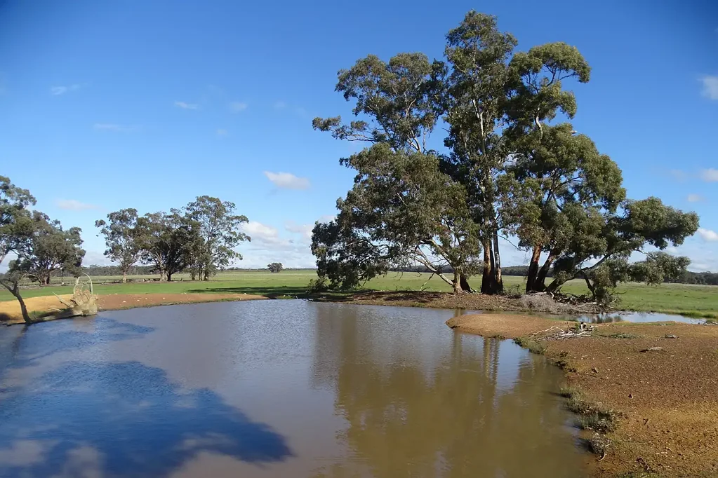Moormbool West  GREAT HOME SITE or OUT PADDOCK