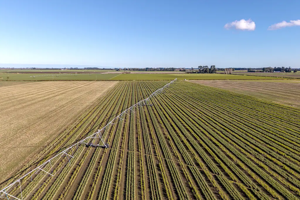Southbridge High quality soils with irrigation