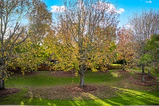 47/130 Great South Road, Epsom, Epsom, Auckland City