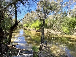 3309 Bedgerabong Road, Bedgerabong