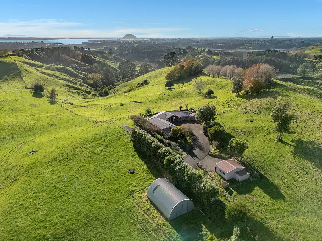 164C Crawford Road, Minden, Tauranga, Bay of Plenty