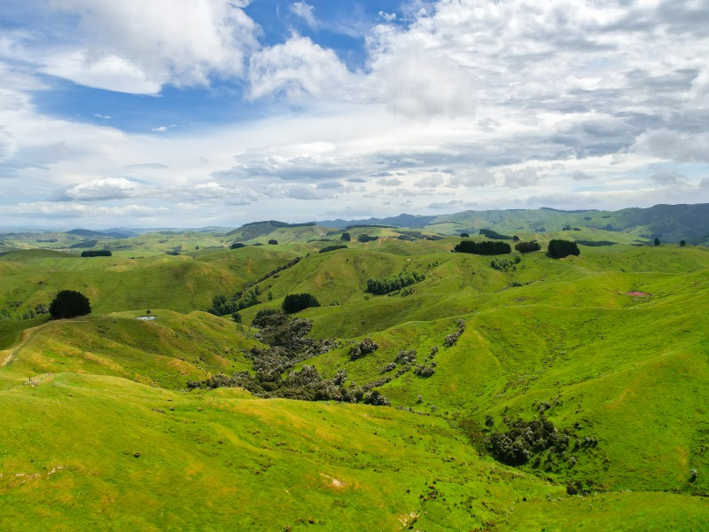 565 Maringi Road, Bideford, Masterton, 0 Schlafzimmer, 1 Badezimmer