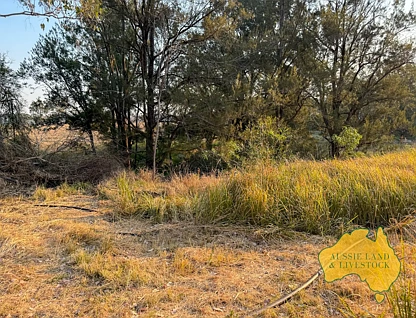 644 KUMBIA ROAD, Ellesmere, QLD 4610, 0 slaapkamers, 0 badkamers, Section