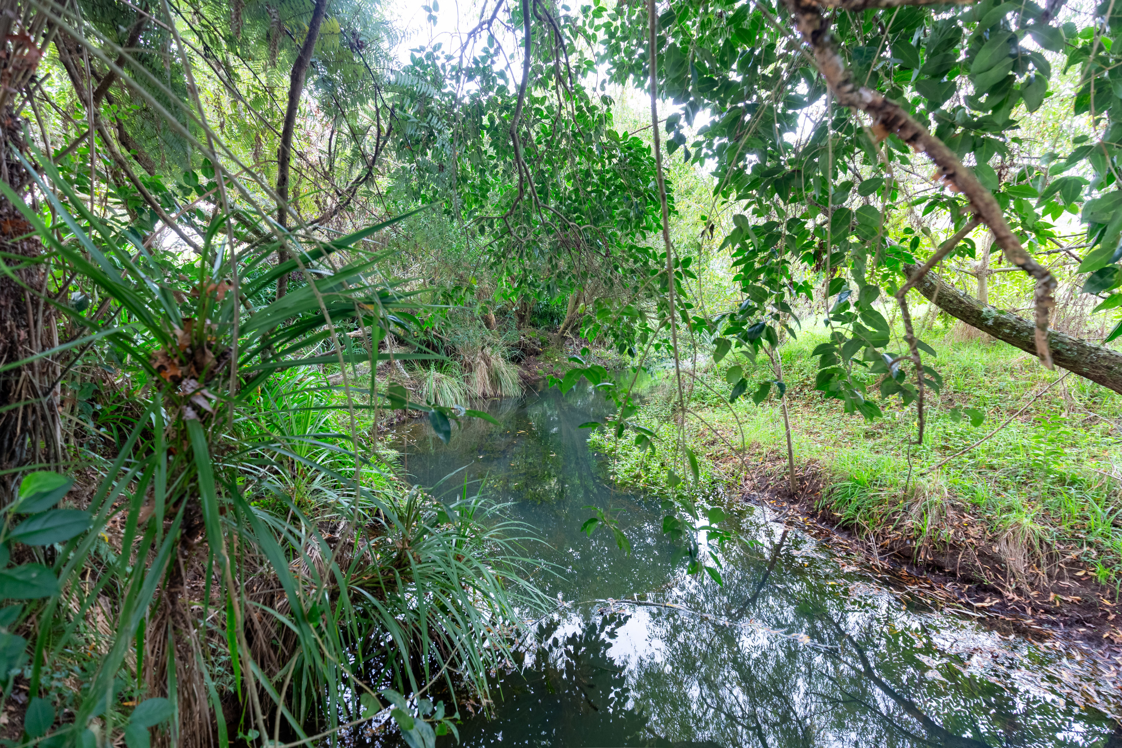 47 Pook Road, Buckland, Waikato, 0 rūma, 0 rūma horoi, Lifestyle Section