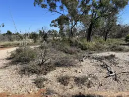 WLL14676 Lightning Ridge, Lightning Ridge