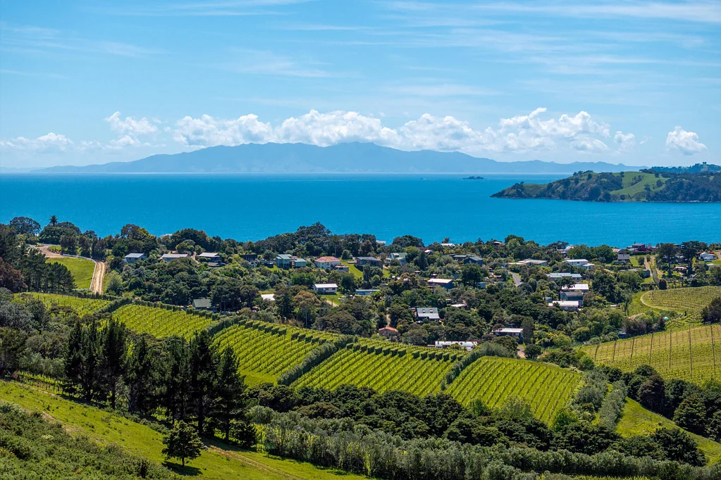 Onetangi One Landholding, Endless Possibility