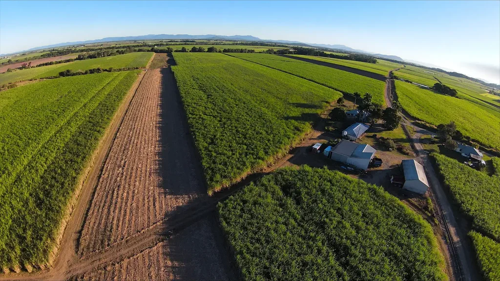 Erakala Erakala Cane Farm