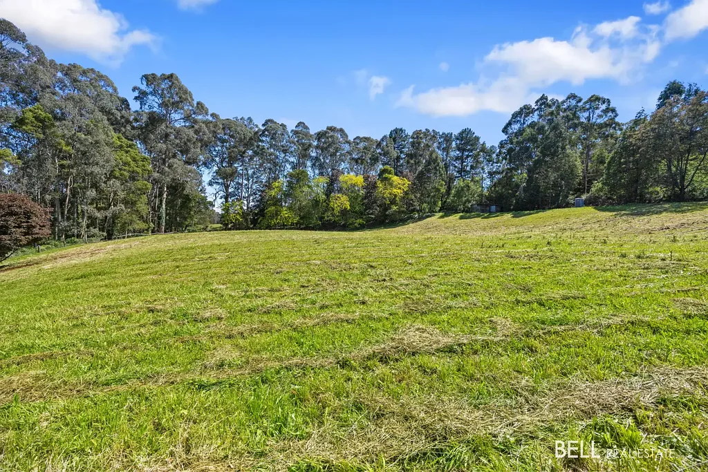 Hoddles Creek Vacant Land in a Fantastic Rural Location