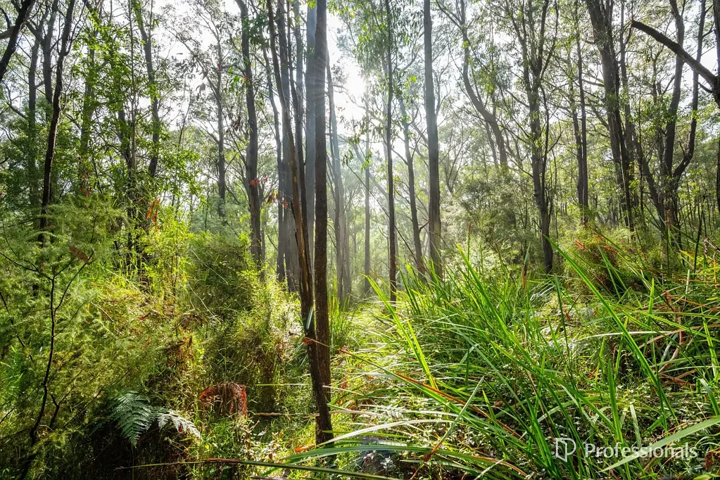 Warburton  13 ACRES APPROX OF WARBURTON WILDERNESS...MOMENTS FROM MOUNTAIN BIKE TRAILS
