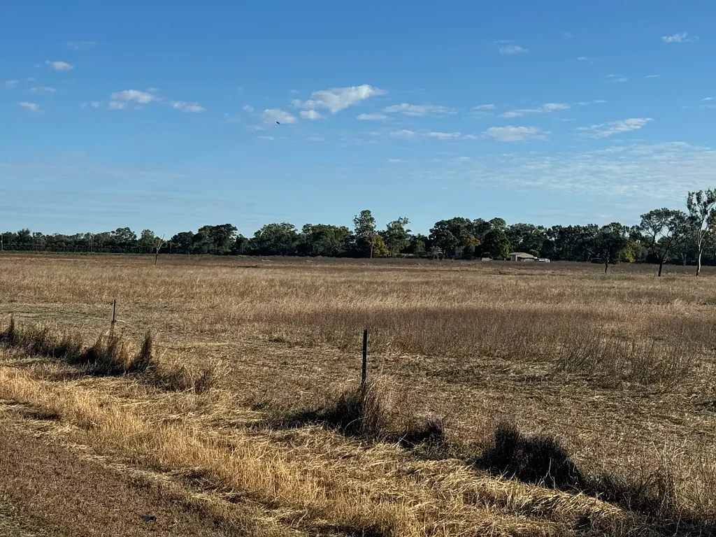 Guthalungra 3 Bedroom Cottage on 38 Acres on Molongle Creek Road.