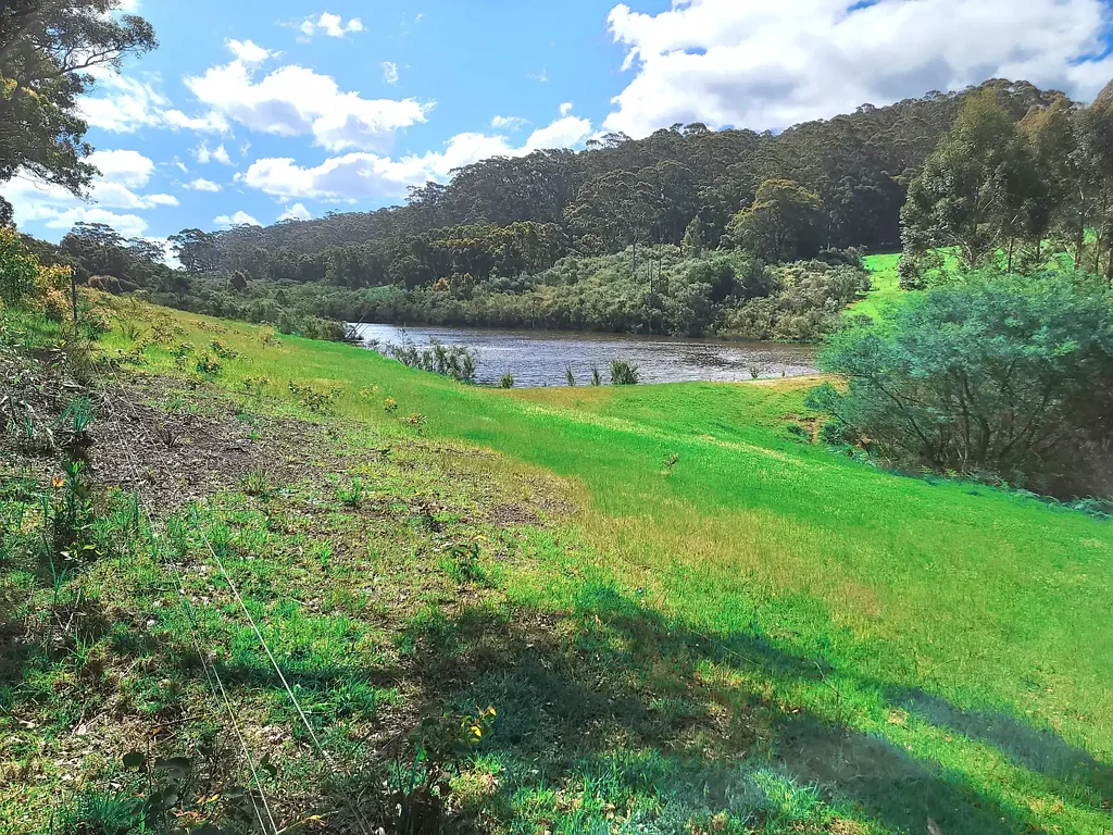25 Dingo Flat Road, Tingledale, WA 6333