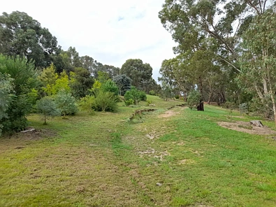 Wodonga Views and Privacy
