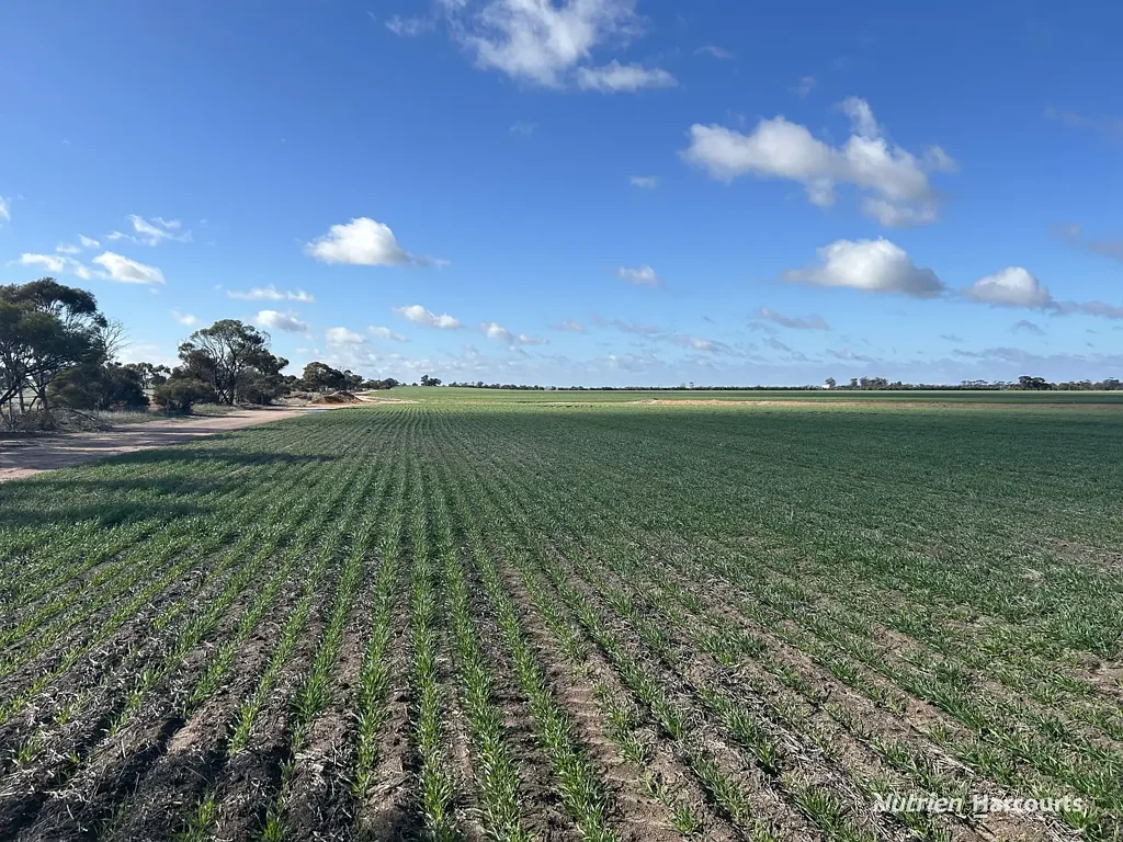 . "Morgans", White Well & Mt Pleasant Roads, Dumbleyung, WA 6350