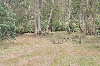 Lot 38 Toorongo Valley Road, Noojee, VIC 3833, 0 slaapkamers, 0 badkamers, Section