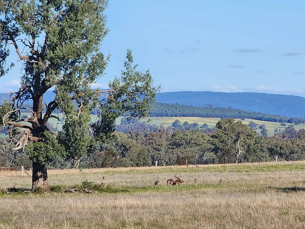 91 Aitken Lane, Parkes, NSW 2870