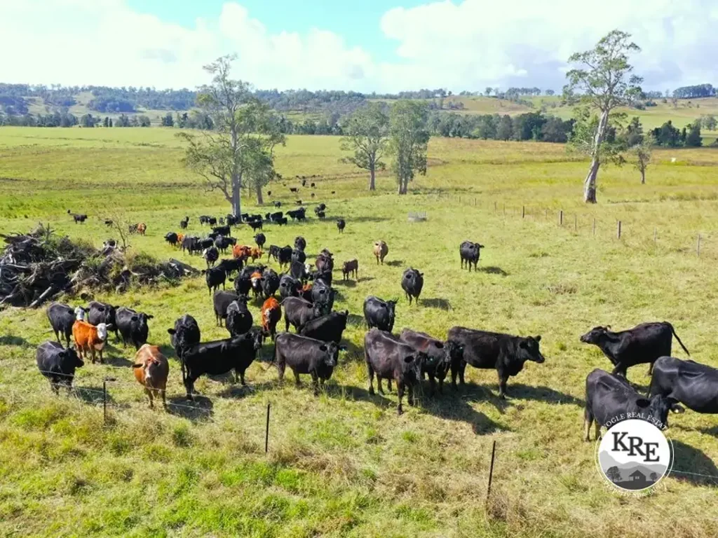 Kyogle  LIVESTOCK, CROPPING & IRRIGATION