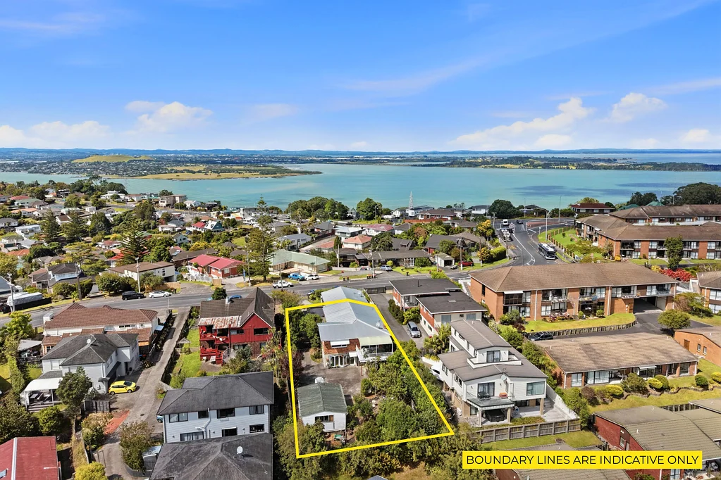 Mount Roskill 4房  Two Homes in One! Super-Sized for Families
