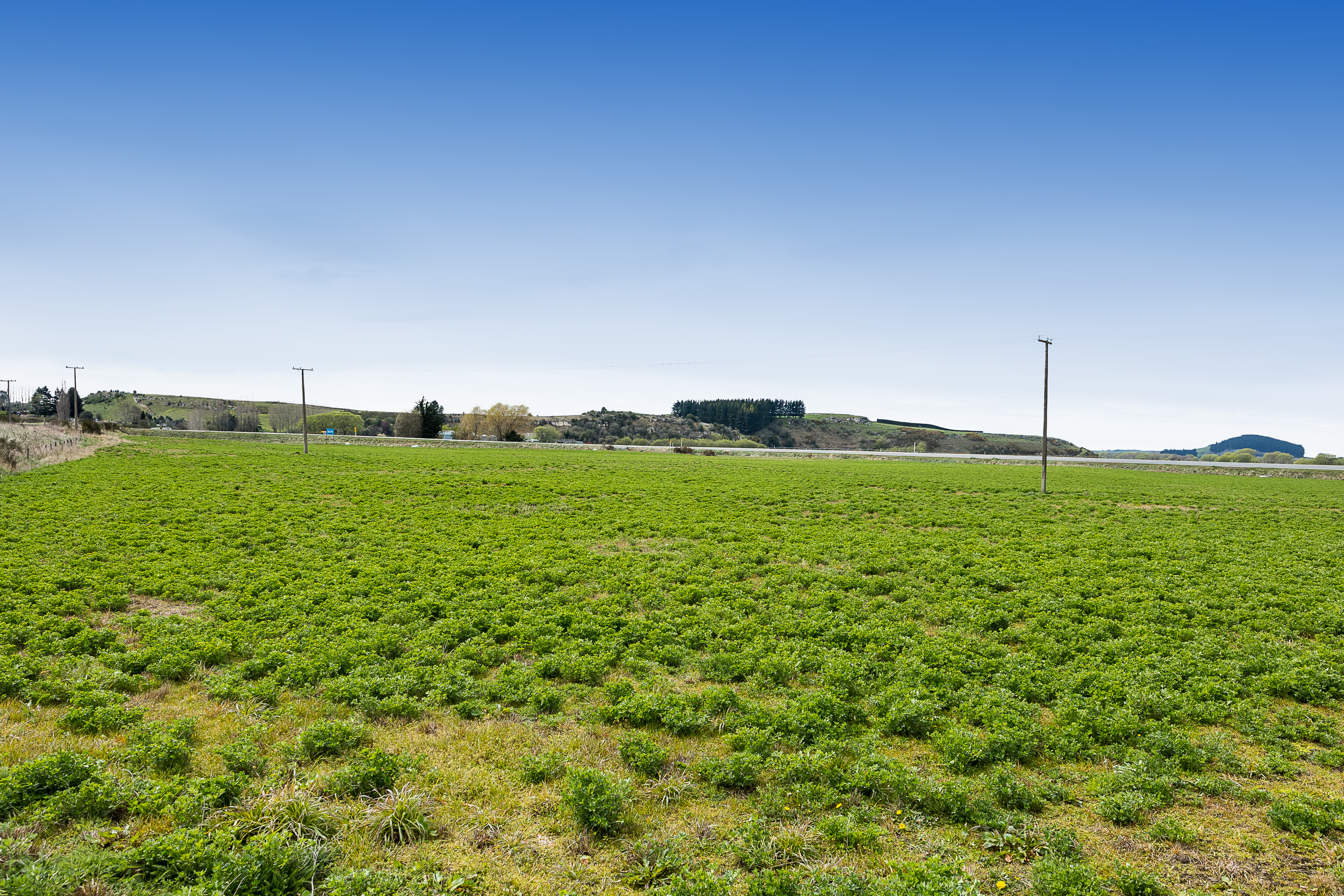 Alma-Maheno Road, Totara, Waitaki, 0房, 0浴, Grazing