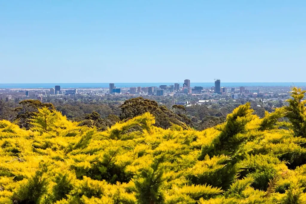 Picture Perfect Family Entertainer with Panoramic City Views