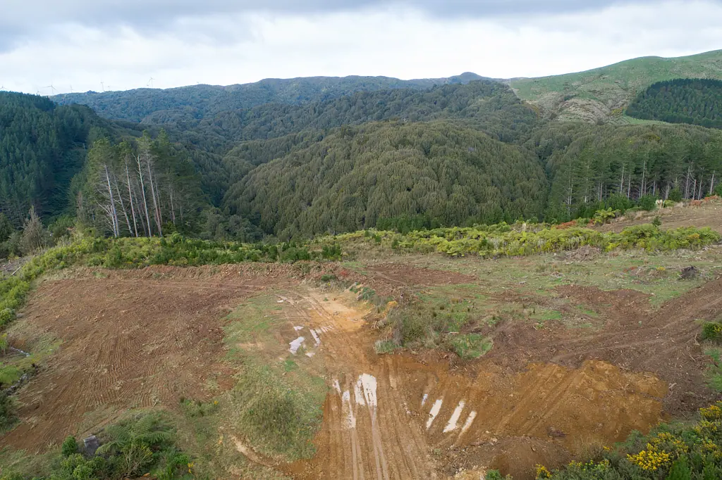 2 Pineland Drive, Turitea, Palmerston North, Manawatu-Wanganui