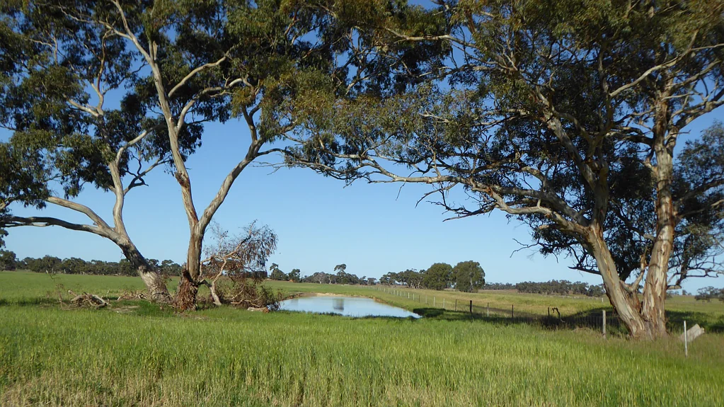 Bordertown Two Great Start Up/Lifestyle Blocks