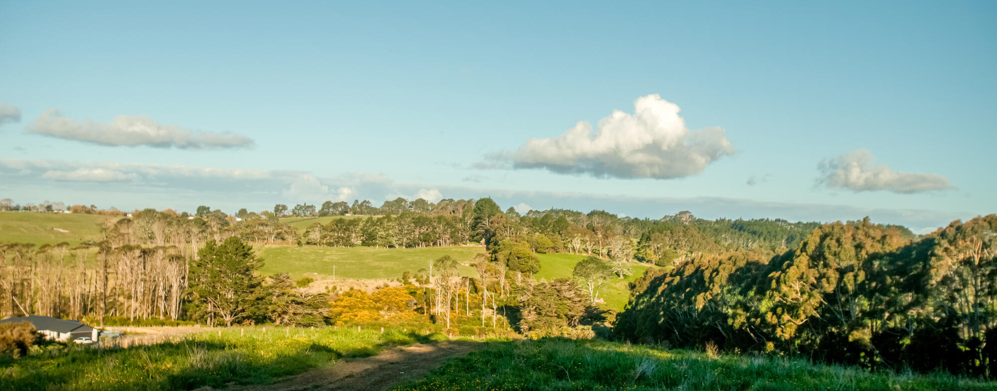 221 Amreins Road, Taupaki, photo 9