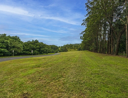 Lot 21 Wenga Drive, Alstonvale, North Coast, 0 chambres, 0 salles de bain, Section