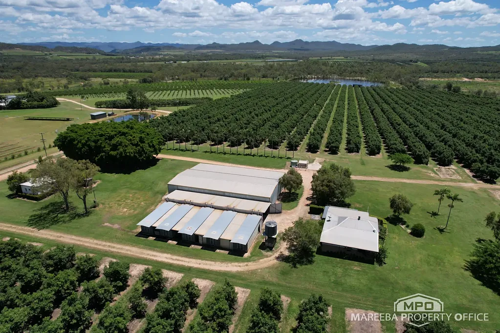 Dimbulah INCOME-PRODUCING AVOCADO ENTERPRISE
