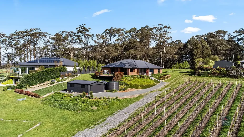 Summertown 4房  Refined Hills Living Surrounded by Vineyards, Wildlife and Community.