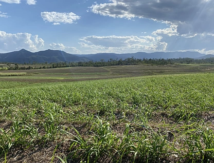 Lot 21 241 Wintons Road, Yalboroo, Mackay, 0 ਕਮਰੇ, 0 ਬਾਥਰੂਮ, Lifestyle Property