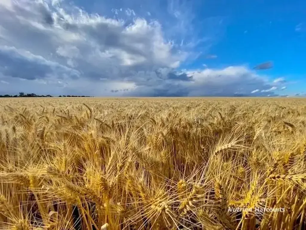 Esperance MT BURDETT" and "KNUCKLE DOWNS", ESPERANCE