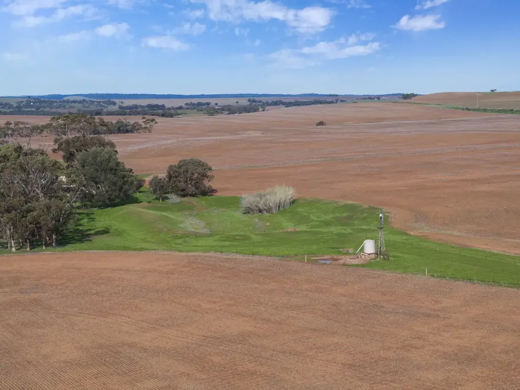 Frankton Quality Cropping Land | Expand or Establish