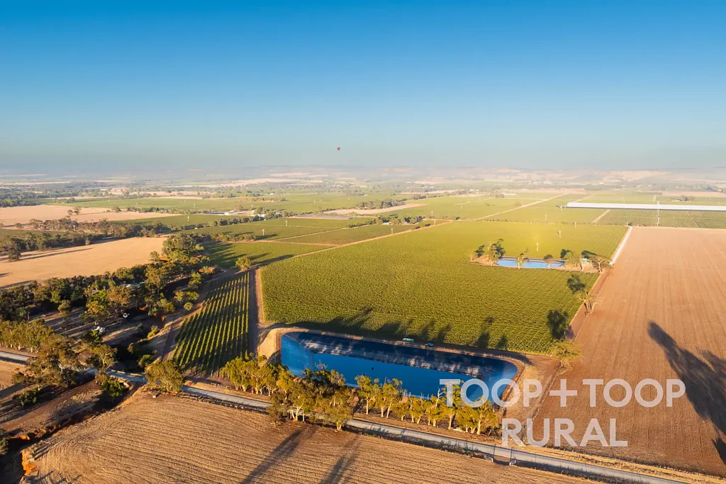 Ebenezer  Blue Chip Barossa