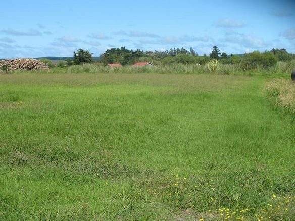 101 Mill Road, Helensville, Auckland - Rodney, 4 침실, 1 욕실, Industrial Land