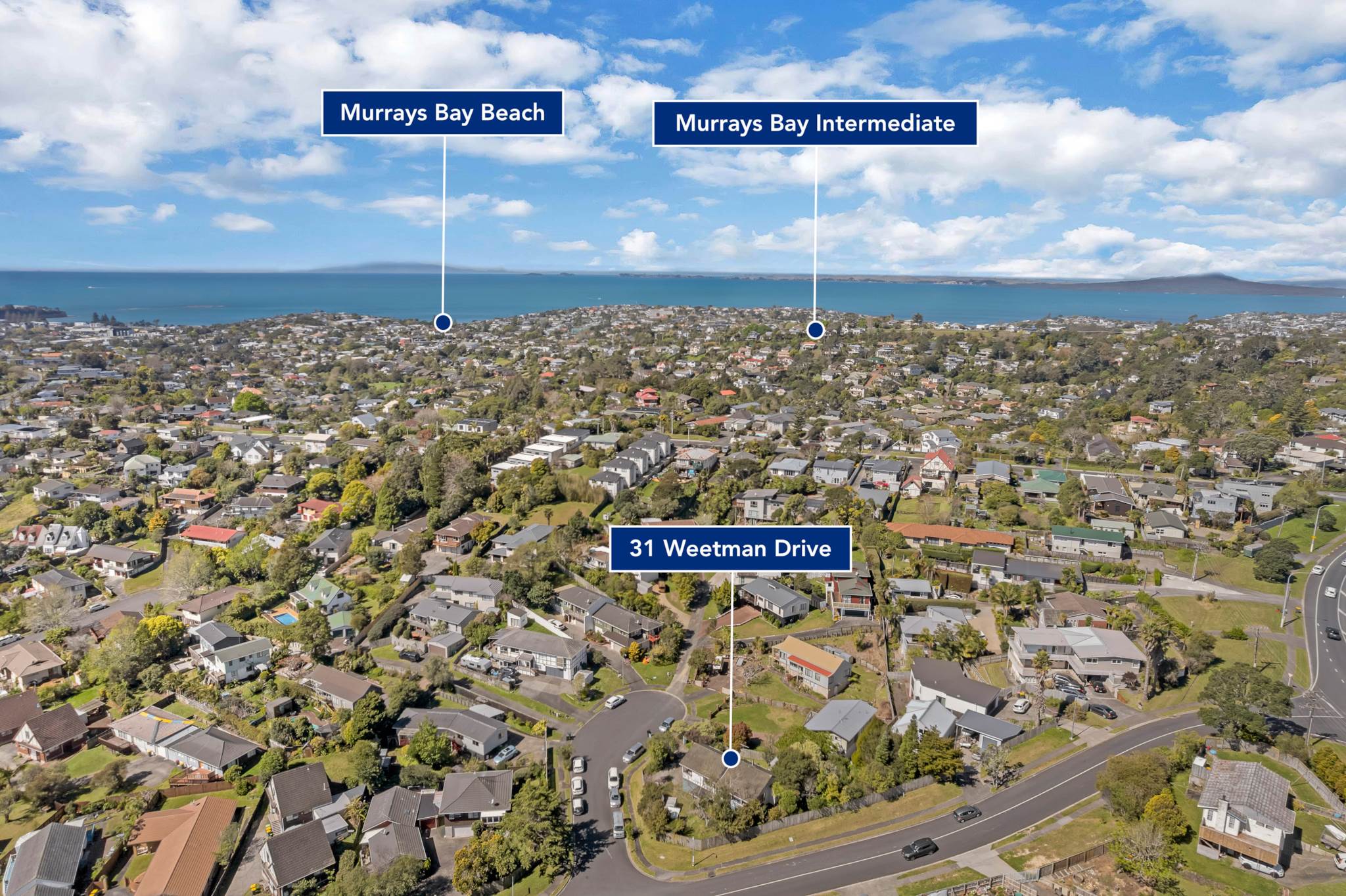 31 Weetman Drive, Browns Bay, photo 16
