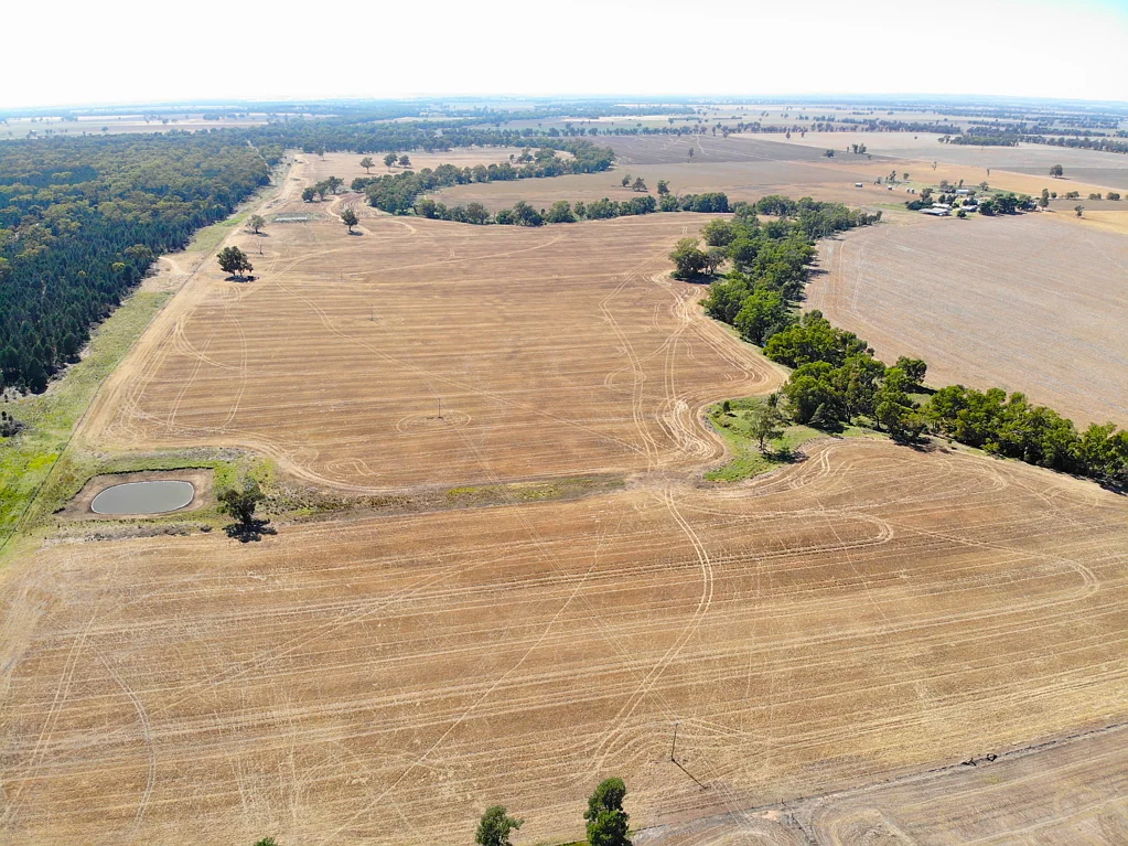 Grenfell RURAL - CREEK FRONTAGE