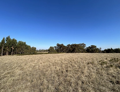 Section 386 Black Range Road, Lucindale, South East, 0 રૂમ, 0 બાથરૂમ, Lifestyle Property