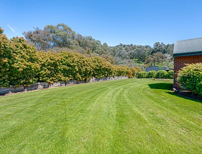 156 Buffalo Creek Road, Myrtleford, Wangaratta, 4 침실, 2 욕실, Lifestyle Property